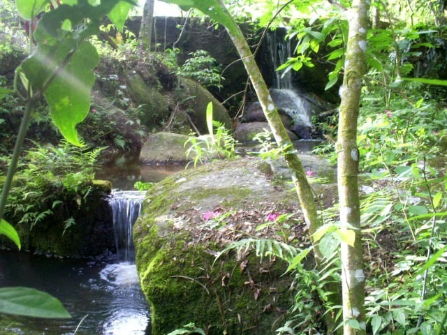 [295984126_3cbf1b2b8f_o[3].jpg]