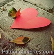 O medo do amor O medo do amor