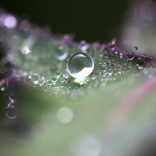 Deliquescence from Jenny Downing