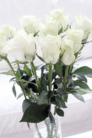 18 februar--4 18 februar--4
