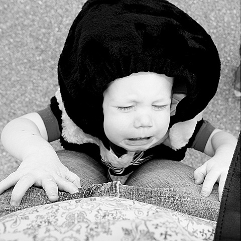 [IMG_73741[7].jpg]