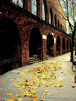 London Street, Tarun Chandel Photoblog
