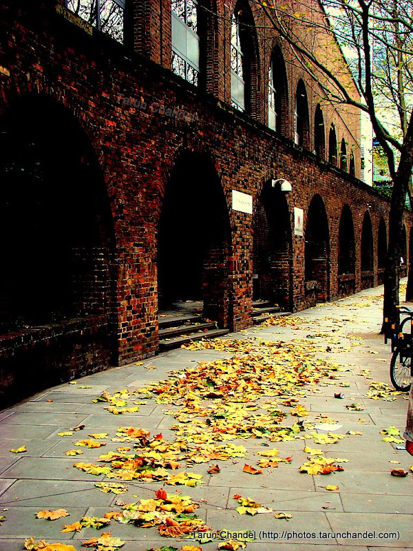 London Street, Tarun Chandel Photoblog