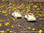 Follow My Steps, Tarun Chandel Photoblog