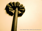 Pencil Flower, Tarun Chandel Photoblog