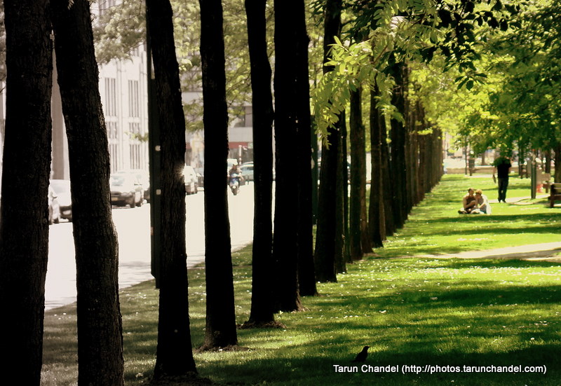 Summer Park Belgium Brussels, Tarun Chandel Photoblog