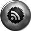 Subscribe the RSS Feed of Tarun Chandel Photoblog