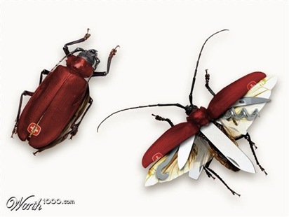 insects_04