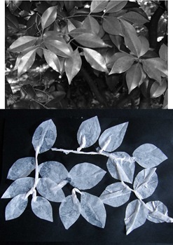 Chapter-3-Texture-and-relief-in-paper-3 Chapter-3-Texture-and-relief-in-paper-3