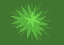 [Similar greens[2].jpg]