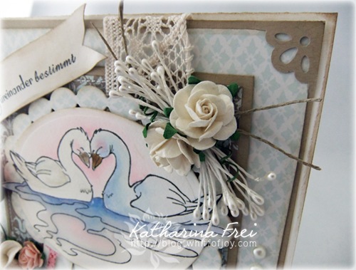 LoveSwans2