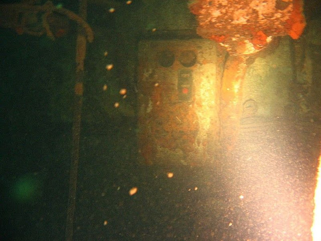 Подводные фото Судака Div-16