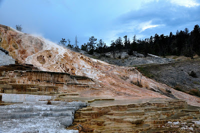 lower terraces at Mammoth Hot Springs in Yellowstone National Park