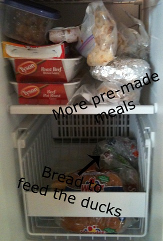 [freezer2[3].jpg]