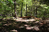 Laser_DSC_0481_20100905.jpg