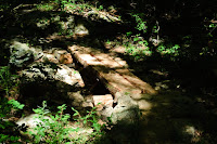 New little bridge Photo