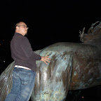 DSC03234.JPG