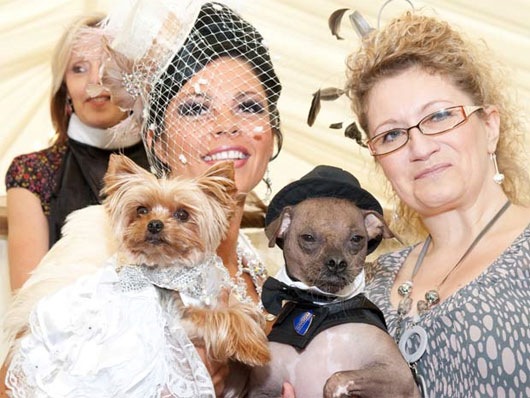 Britânica-gasta-mais-de-R$-50-mil-no-casamento-de-cadela-1