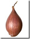 shallot
