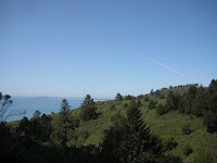 IMG_4812.JPG Photo