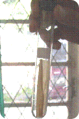 clip_image002 clip_image002