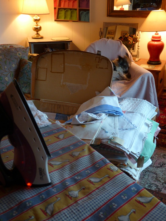 [me & ironing 004[2].jpg]