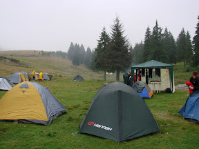 DSC08239.JPG