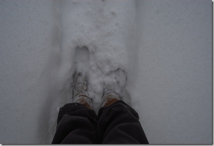 Pizza Snow 076