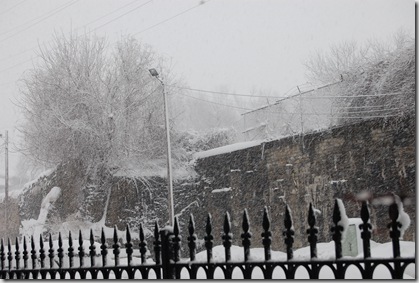Snow 196