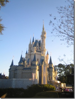 disney 195