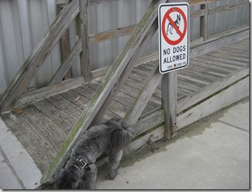 down the shore 139