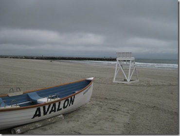 down the shore 131