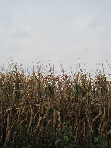 [September20090592.jpg]