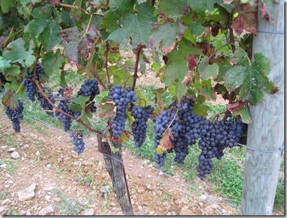 September 2009 051