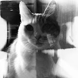 IPhonePhoto