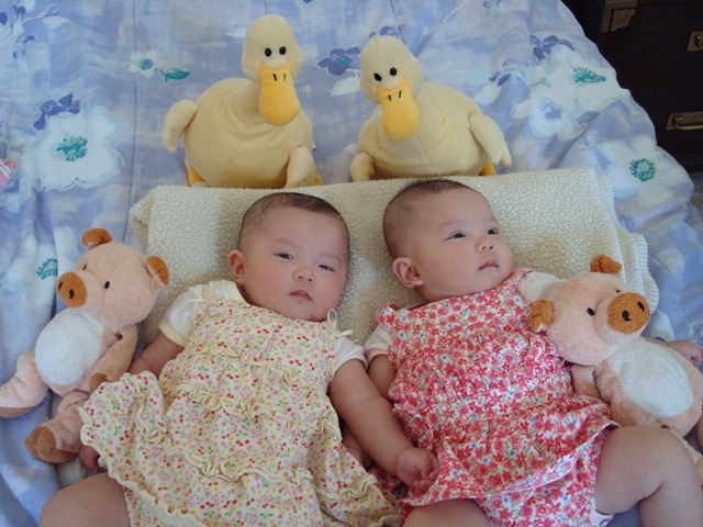 [DSC007964.jpg]