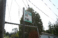 IMG_4235.JPG