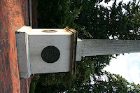 IMG_4503.JPG