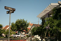IMG_4628.JPG