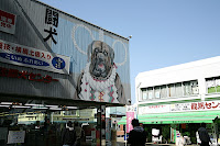 IMG_4891.JPG
