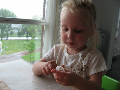  Prinsessencakjes
