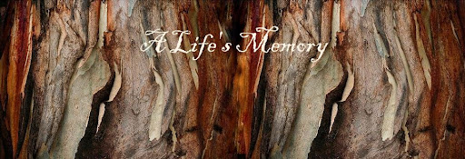 A Life's Memory