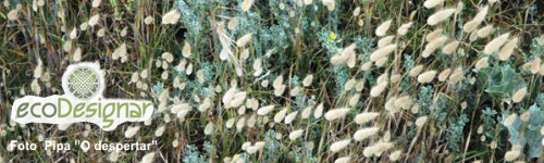 http://lh6.ggpht.com/_H-IQBg1p-SQ/S4PKvi-QfEI/AAAAAAAABlg/v0pHcarIpvc/eco-primavera.png