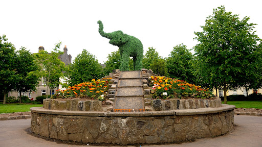 In Clon 5.jpg