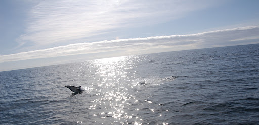 _DSC9044.jpg