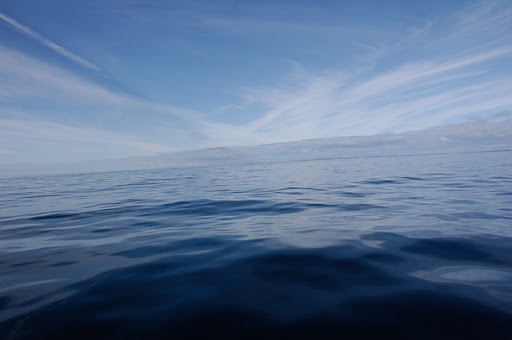 _DSC9108.jpg