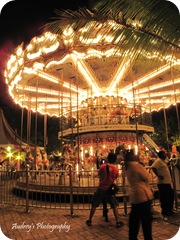 Carousel - Edgar as accidental model Carousel - Edgar as accidental model