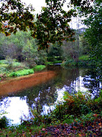 IMG_0071.JPG (Schönau, Rhineland-Palatinate, Germany) Photo