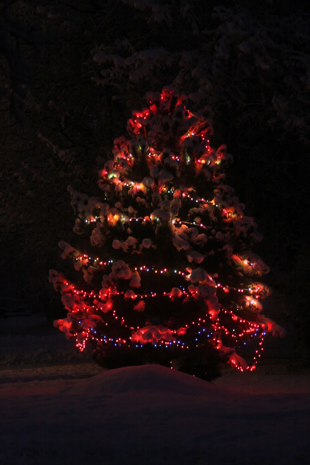 [Vance's Christmas tree[7].jpg]