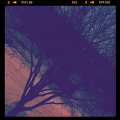 [image29.png]